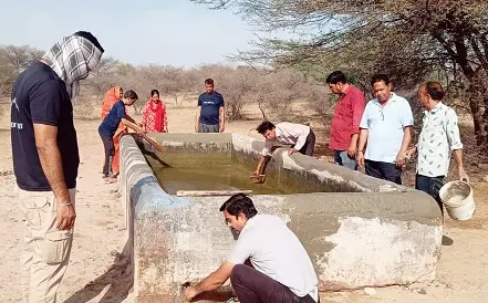 गायों की खेलियों की सफाई और मरम्मत