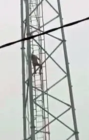 मोबाइल टावर पर चढ़ा यु़वक,जाने क्या है वजह