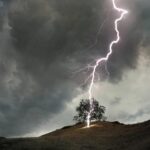 lightning-strikes-on-tree_1593159779