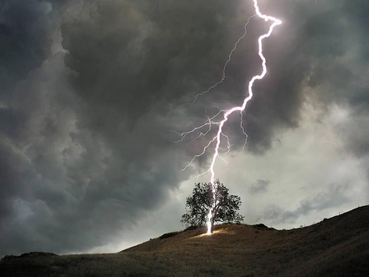 lightning-strikes-on-tree_1593159779